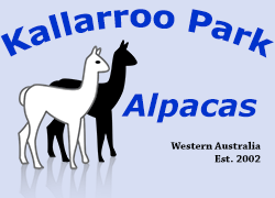 Kallarroo Park Alpacas Western Australia Est. 2002