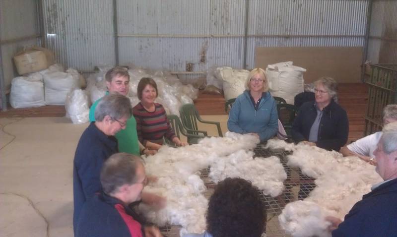 Fleece collection 2.jpg