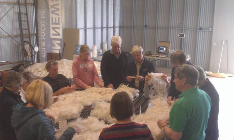 Fleece collection 3.jpg