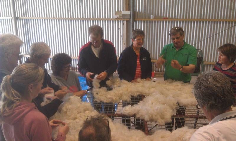 Fleece collection 4.jpg